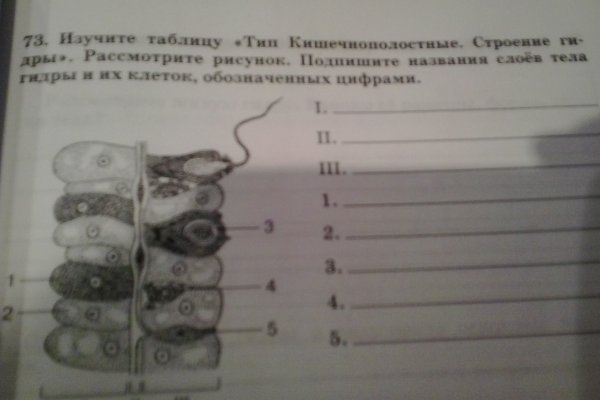 Кракен не приходят деньги